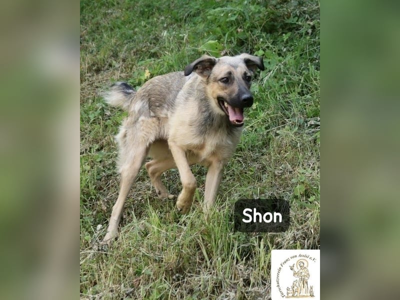 Shon – einmal lächeln, einmal verlieben, dann gemeinsam los ins Abenteuer!