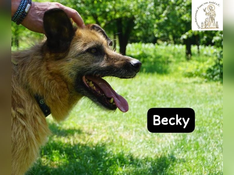 Becky – Eine Lady zum Verlieben, so schön wie das Leben selbst!