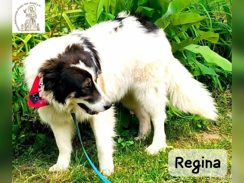 Regina – sie wollte nie allein sein!