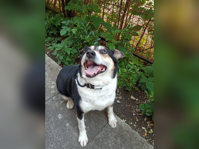 Waisenkinder Bobi und Mrki