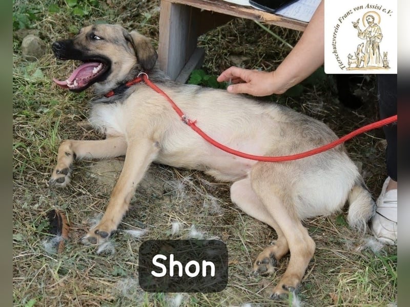 Shon – einmal lächeln, einmal verlieben, dann gemeinsam los ins Abenteuer!