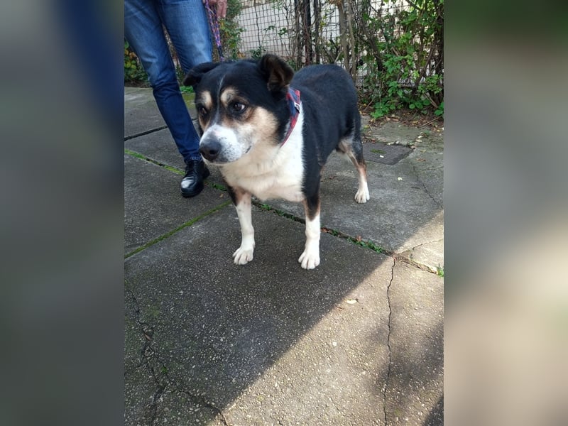 Waisenkinder Bobi und Mrki