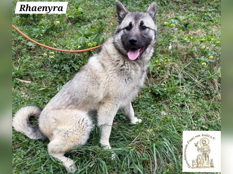 Rhaenyra – auffallen kann sie, bleiben möchte sie!