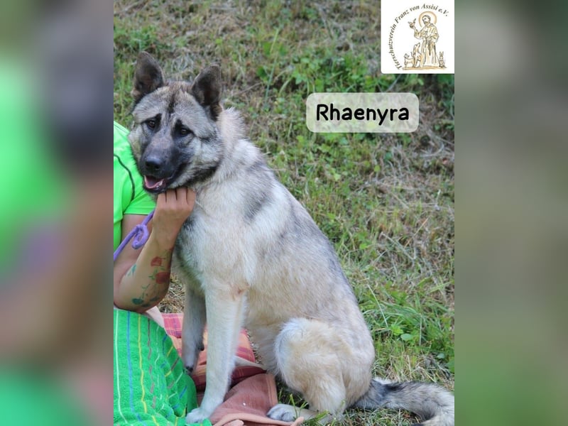 Rhaenyra – auffallen kann sie, bleiben möchte sie!