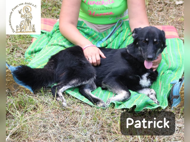 Patrick – Mut, ein bisschen Neugier und schon kann das Abenteuer beginnen!