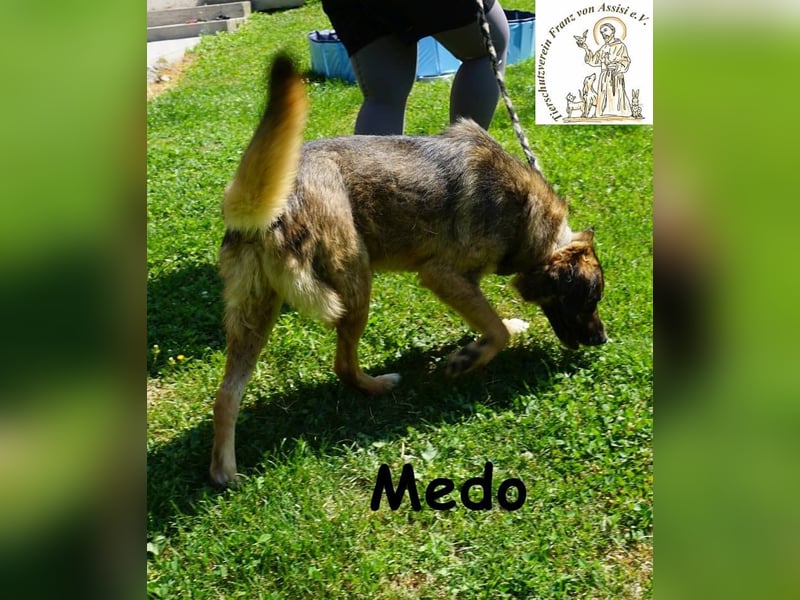 Medo – Spiel, Spaß, Spannung – und Lernen darf auch dabei sein!