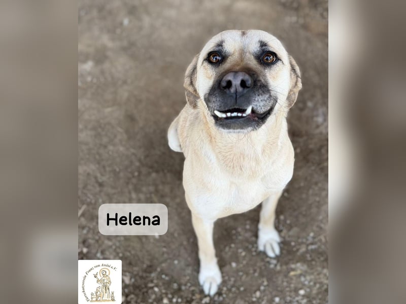 Helena – Schönheit mit Charakter und einem ganz besonderen Lächeln!