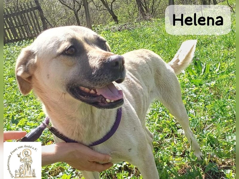 Helena – Schönheit mit Charakter und einem ganz besonderen Lächeln!