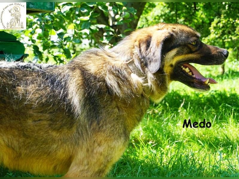 Medo – Spiel, Spaß, Spannung – und Lernen darf auch dabei sein!