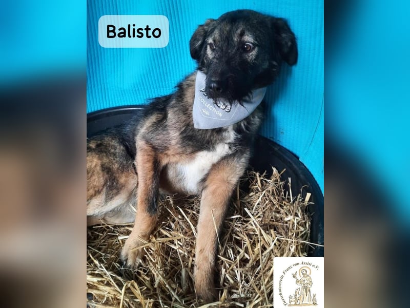 Balisto – vorsichtig? Ja. Langweilig? Ganz sicher nicht!