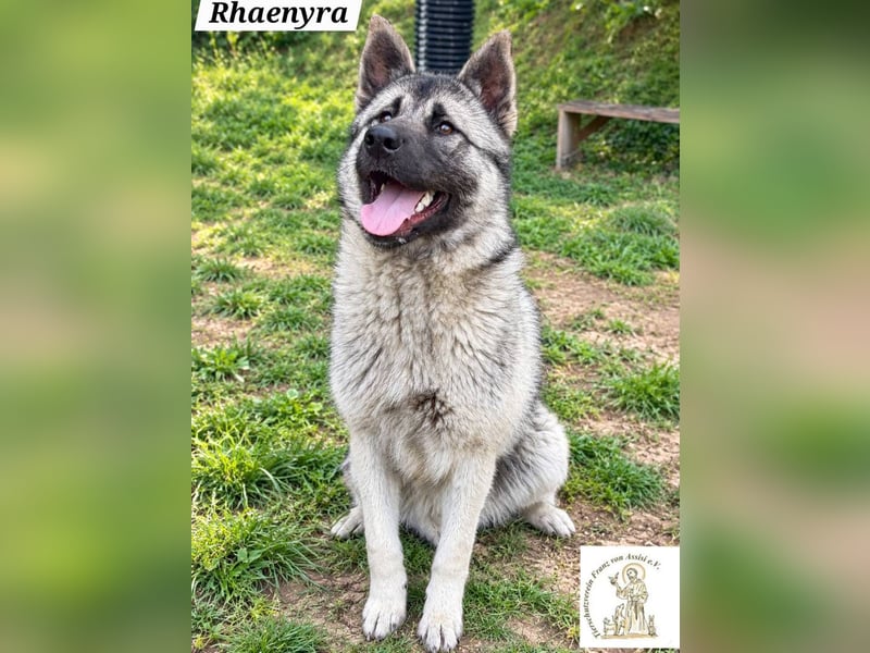 Rhaenyra – auffallen kann sie, bleiben möchte sie!