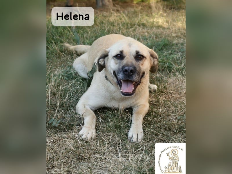 Helena – Schönheit mit Charakter & einem ganz besonderen Lächeln!