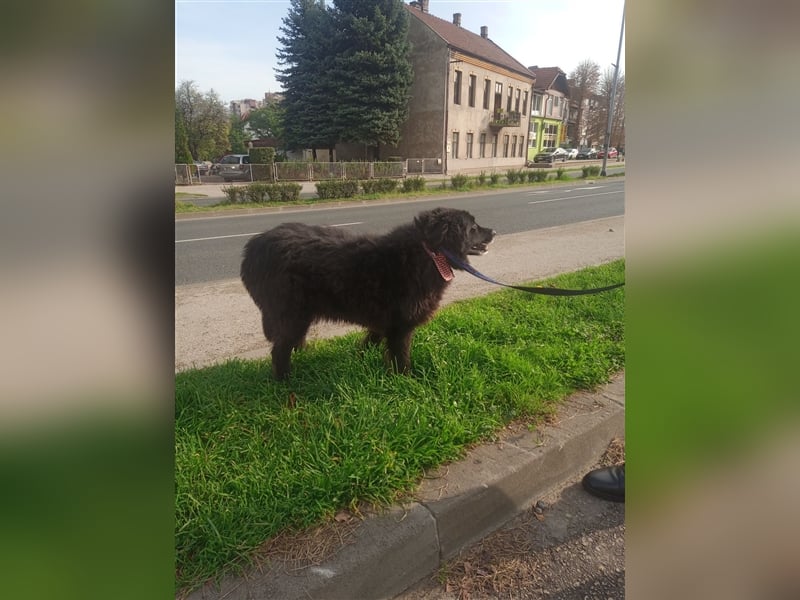 Waisenkinder Bobi und Mrki