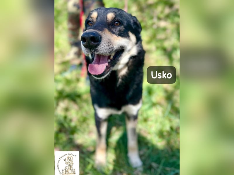 Usko – der, der lernen möchte, wie Leben wirklich geht!