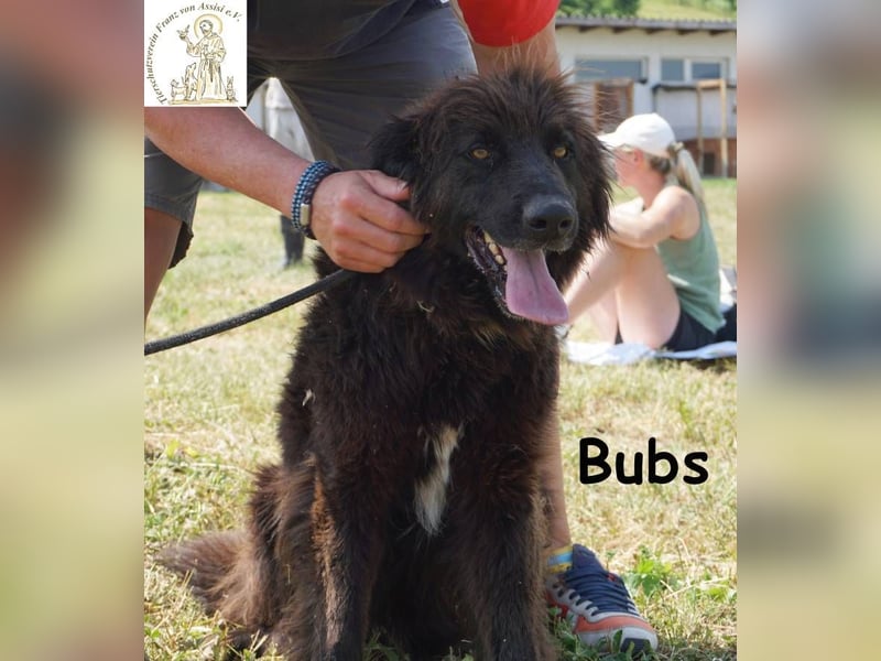 Bubs – Zu zweit ist man nicht mehr allein