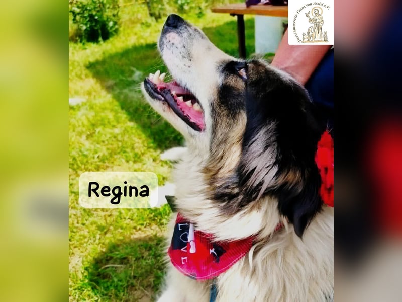 Regina – sie wollte nie allein sein!