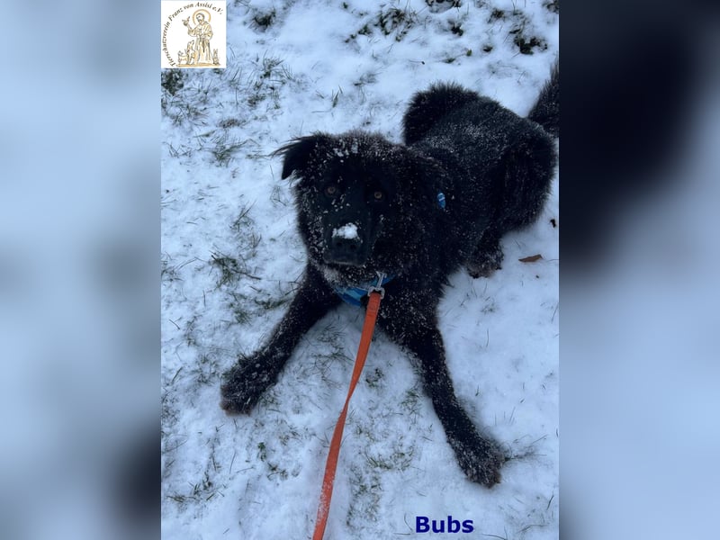 Bubs – zu zweit ist man nicht mehr allein