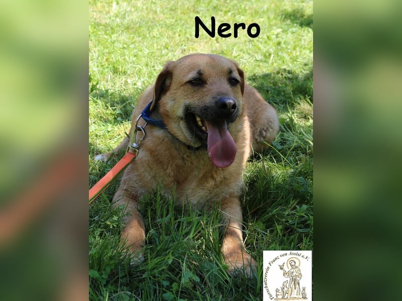 Nero – Weil Normal manchmal einfach perfekt ist!