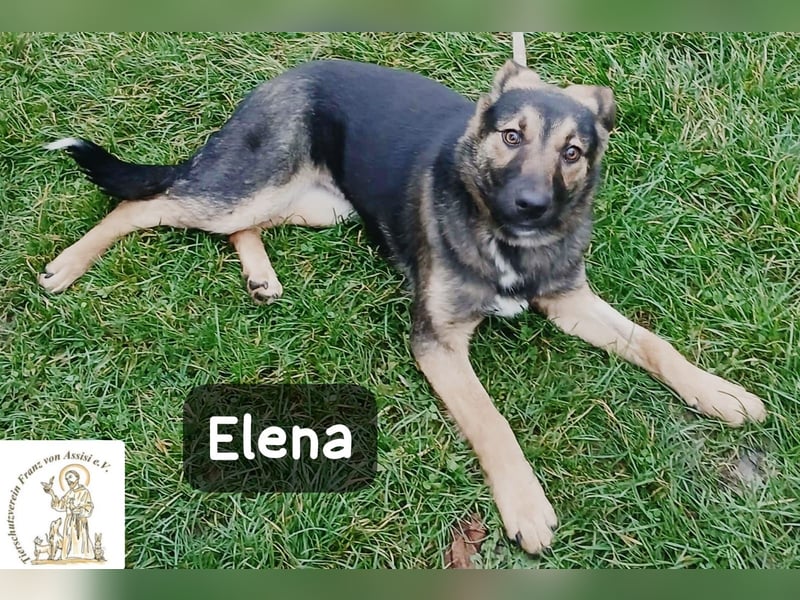 Elena – so sanft, als hätte sie das Leben schon verstanden!