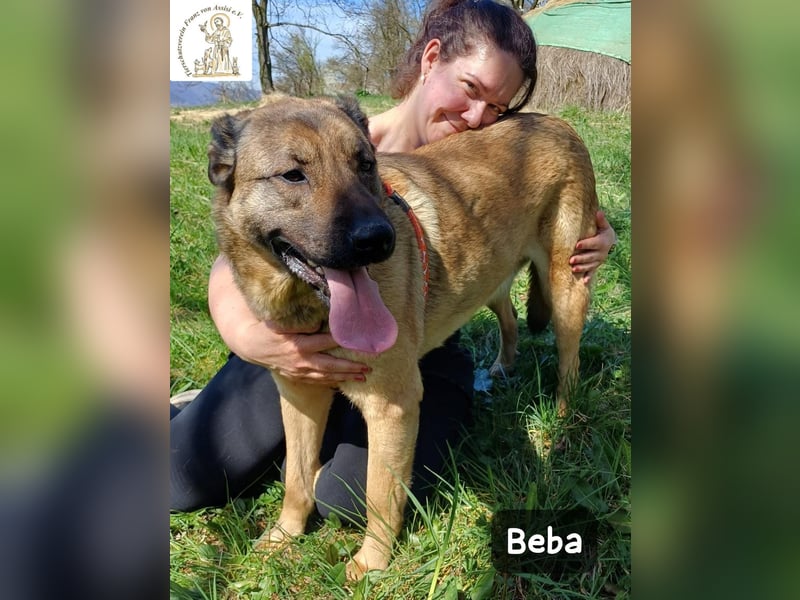 Beba – für Menschen, die das Echte suchen!