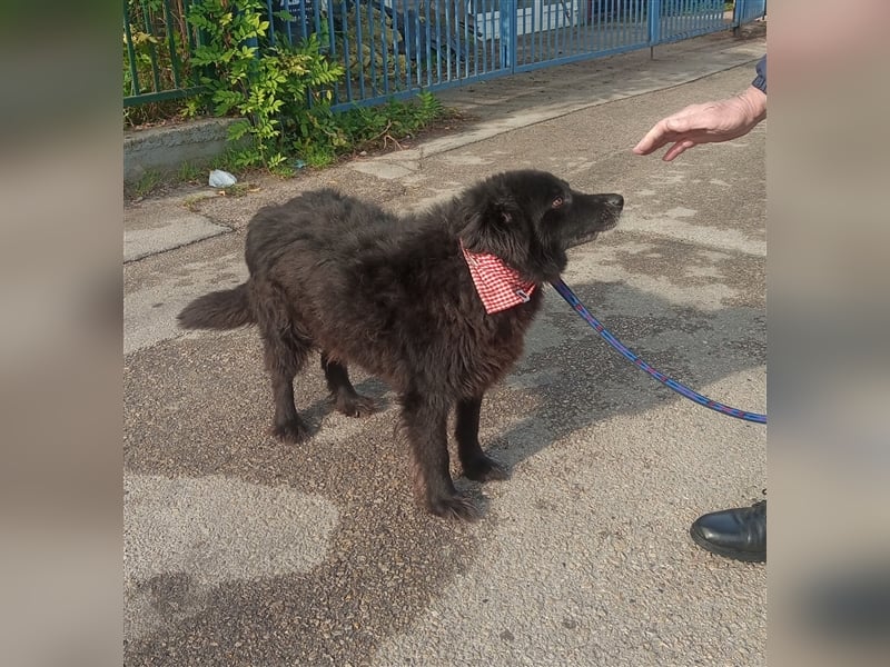 Waisenkinder Bobi und Mrki