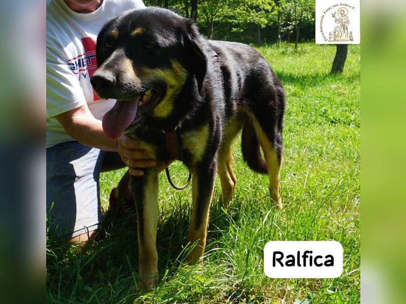 Ralfica – Nicht perfekt. Nicht außergewöhnlich. Aber genau RICHTIG!