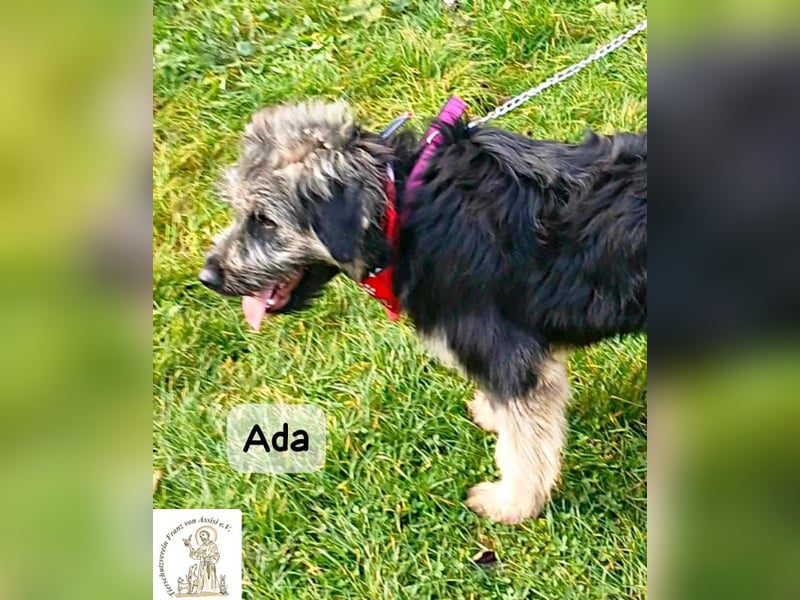 Ada – das Mädchen mit der Frisur, die alle Blicke fängt!