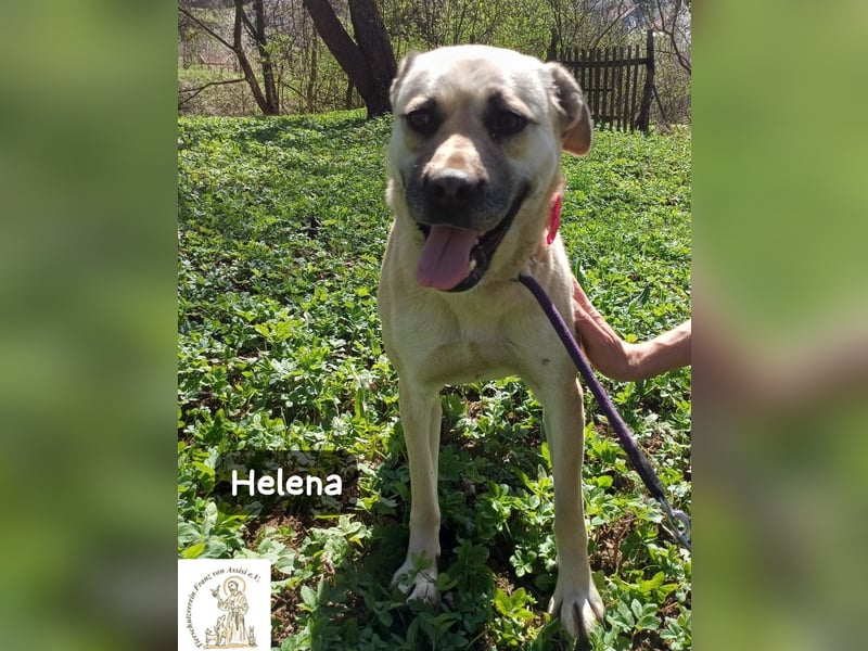 Helena – Schönheit mit Charakter und einem ganz besonderen Lächeln!