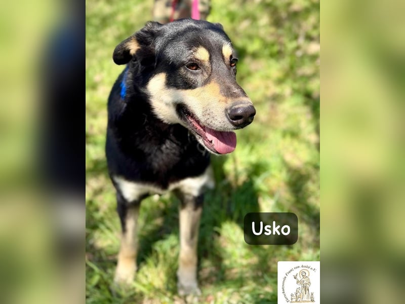 Usko – der, der lernen möchte, wie Leben wirklich geht!