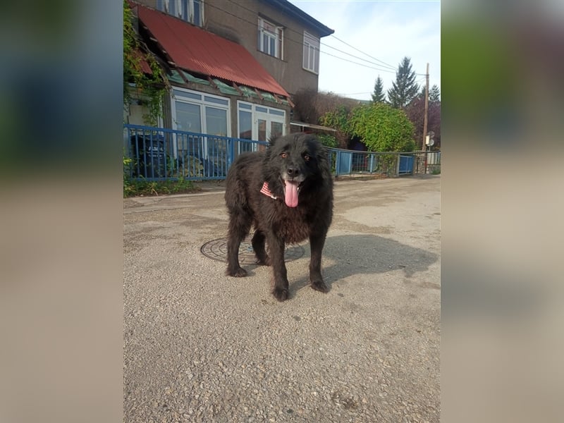 Waisenkinder Bobi und Mrki