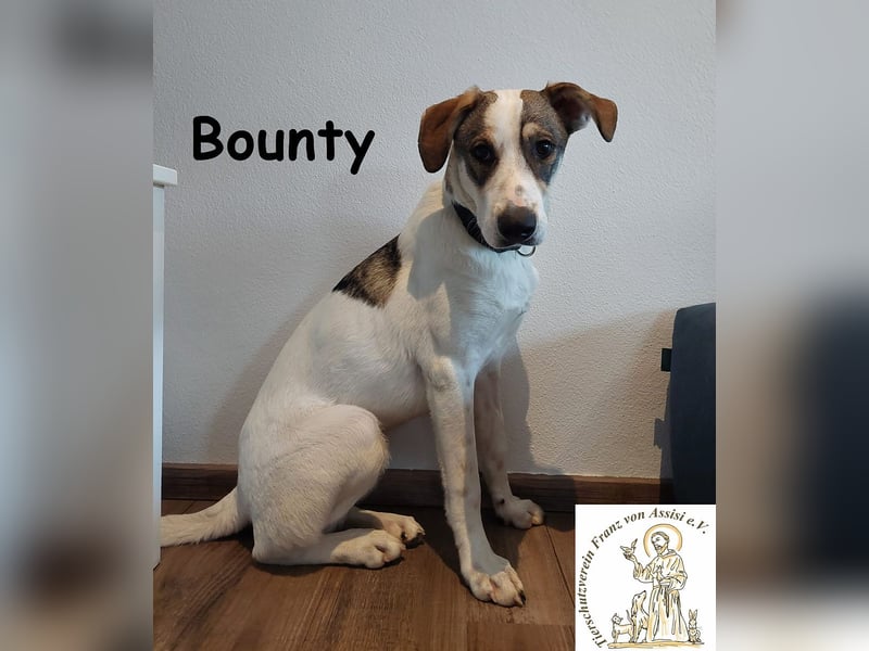 Bounty wird mutig und entdeckt die Welt