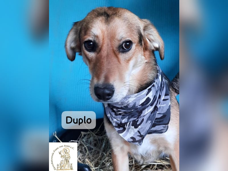 Duplo – leise starten, gemeinsam wachsen!