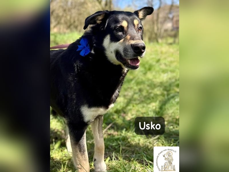 Usko – der, der lernen möchte, wie Leben wirklich geht!