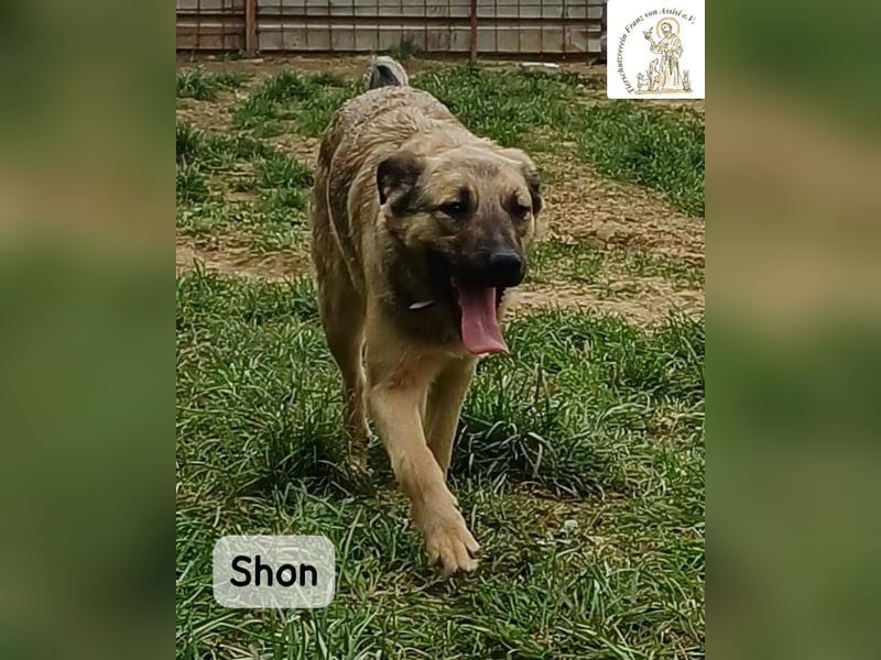 Shon – einmal lächeln, einmal verlieben, dann gemeinsam los ins Abenteuer!