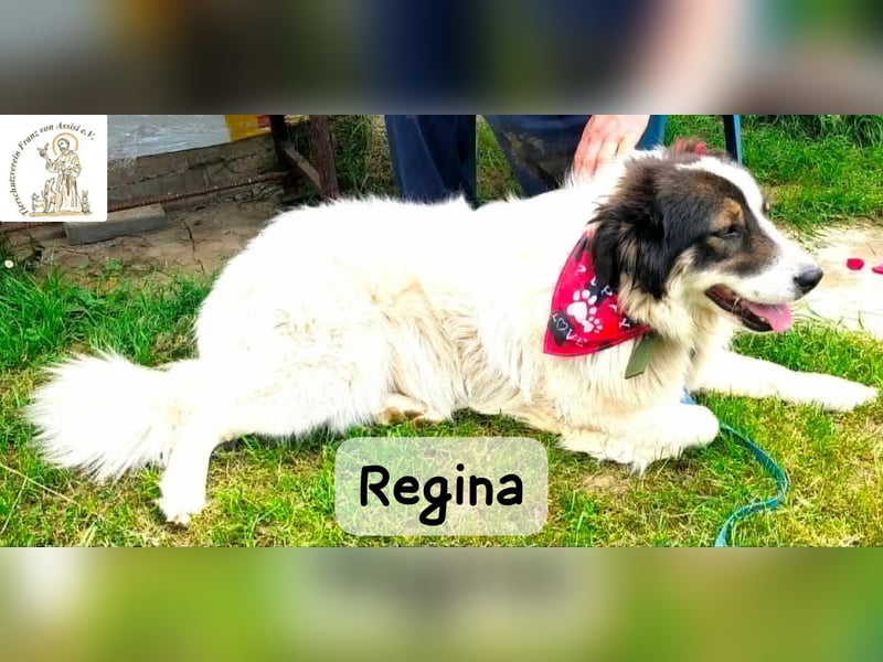 Regina – sie wollte nie allein sein!