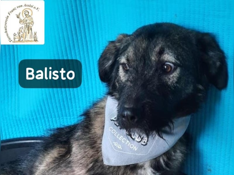 Balisto – vorsichtig? Ja. Langweilig? Ganz sicher nicht!