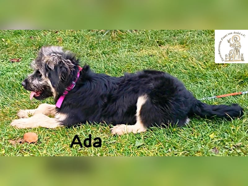 Ada – das Mädchen mit der Frisur, die alle Blicke fängt!