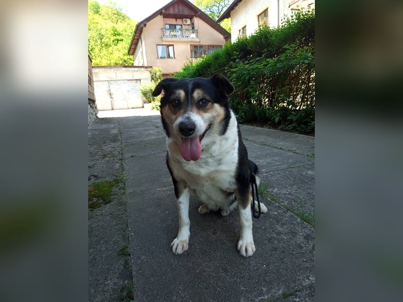 Waisenkinder Bobi und Mrki