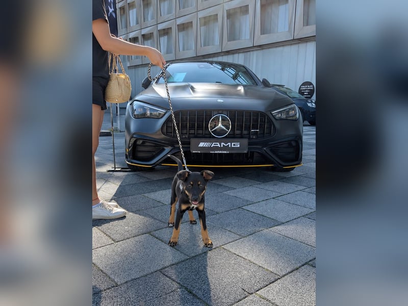 Goldstück Harika sucht ihre Familie