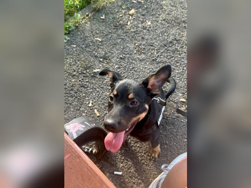 Goldstück Harika sucht ihre Familie