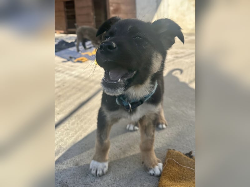 Aufgeschlossene Ruby sucht ihre Familie