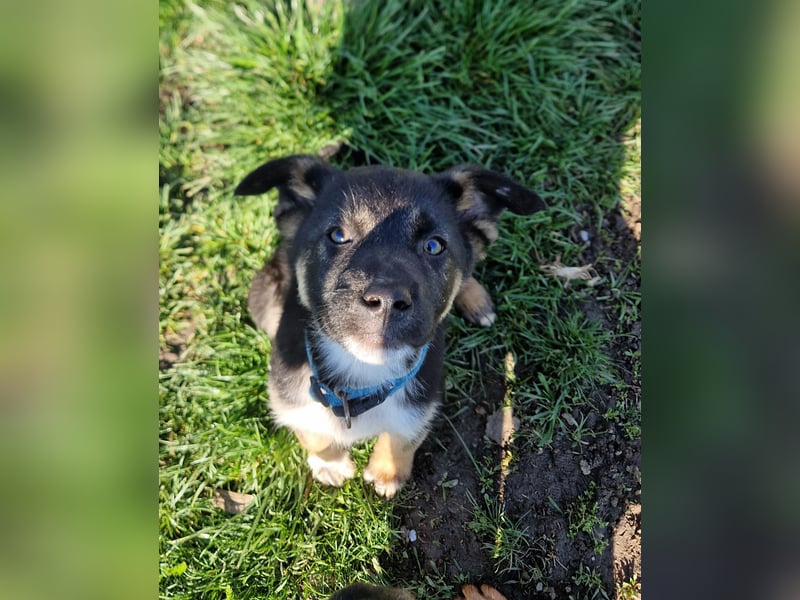 Aufgeschlossene Ruby sucht ihre Familie