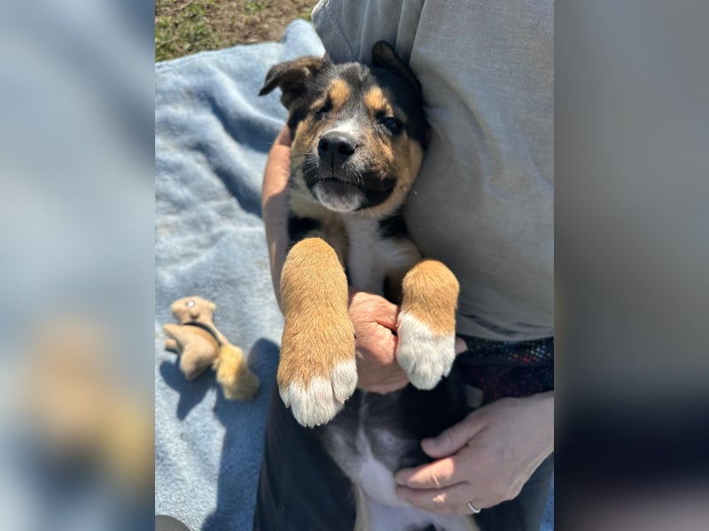 Süße Jördis sucht ihr Familie