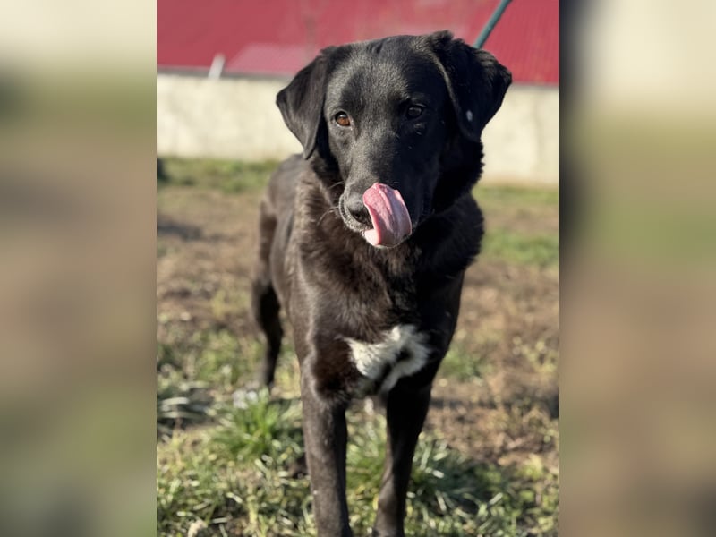 Aufgeweckte Ellie sucht ihre Familie