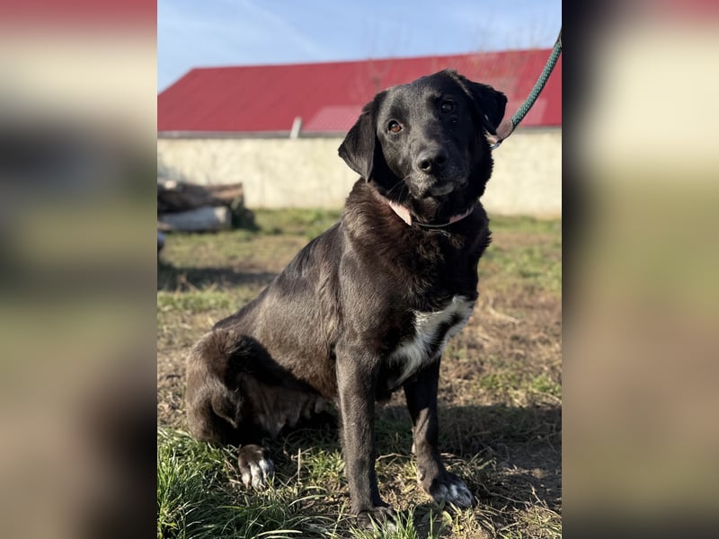 Aufgeweckte Ellie sucht ihre Familie