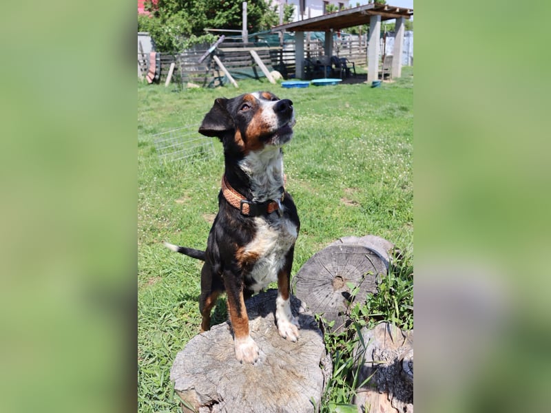 Liebevolle Maila sucht ihre Familie