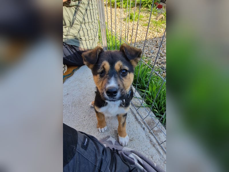 Süße Jördis sucht ihr Familie