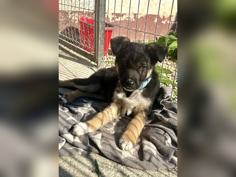 Aufgeschlossene Ruby sucht ihre Familie