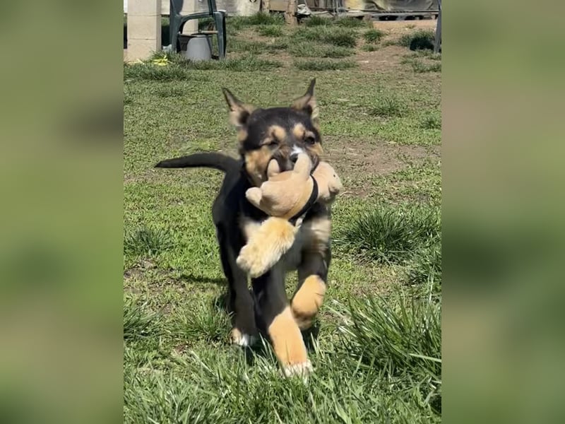 Süße Jördis sucht ihr Familie