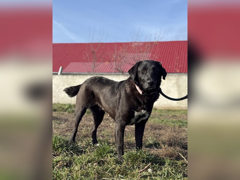 Aufgeweckte Ellie sucht ihre Familie